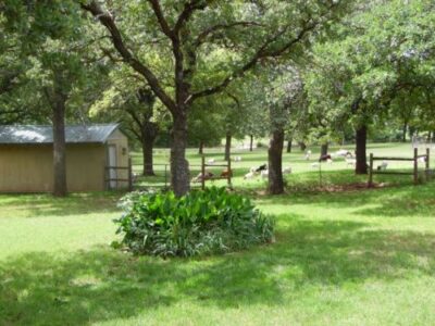 Old World Skills Renewed Image